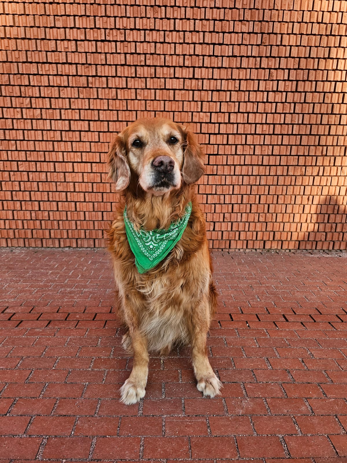 Lima - Jardin du souvenir - Chiens Guides de l'Est de Cernay